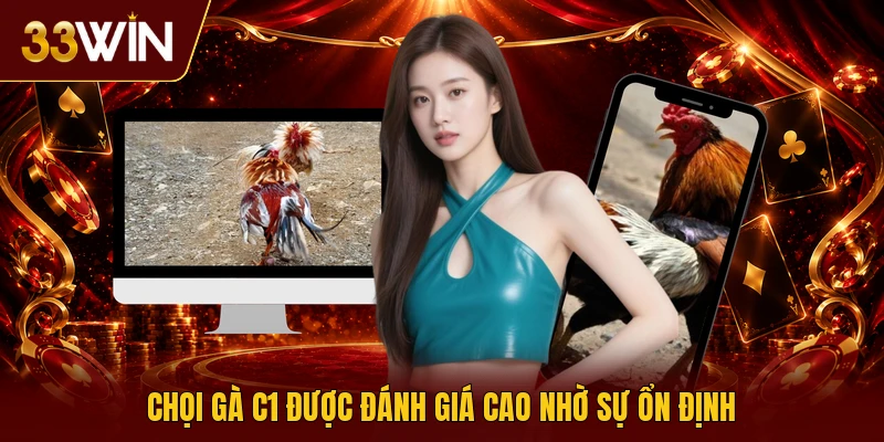 Chọi gà C1 được đánh giá cao nhờ sự ổn định
