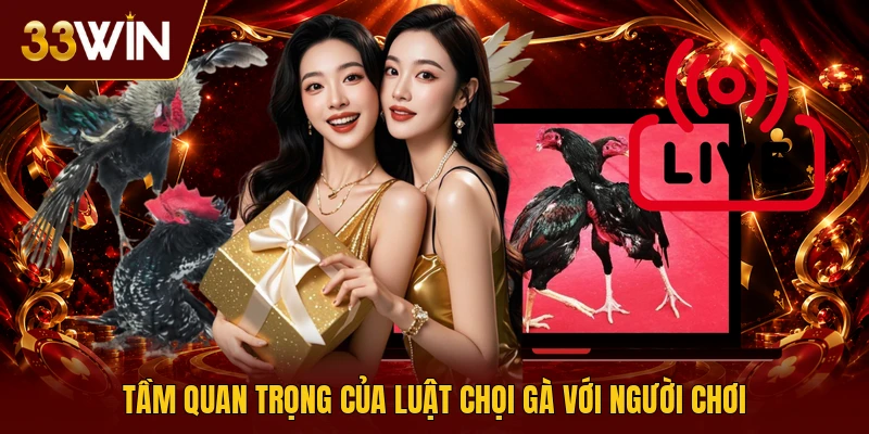Tầm quan trọng của luật chọi gà với người chơi