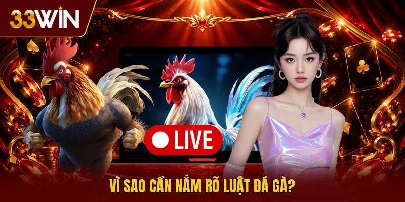 Vì sao cần nắm rõ luật đá gà?